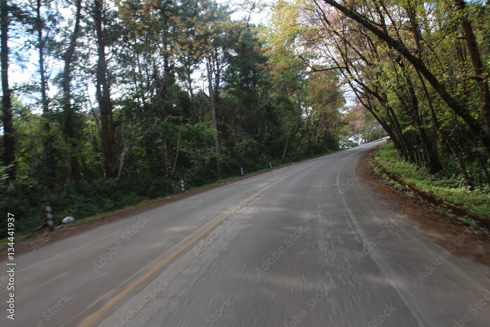 Fototapeta premium road to the mountain