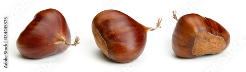Chestnut on white
