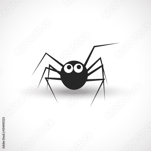 Cute spider isolated on white background.