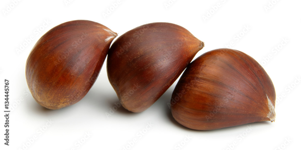 Obraz premium Chestnut on white