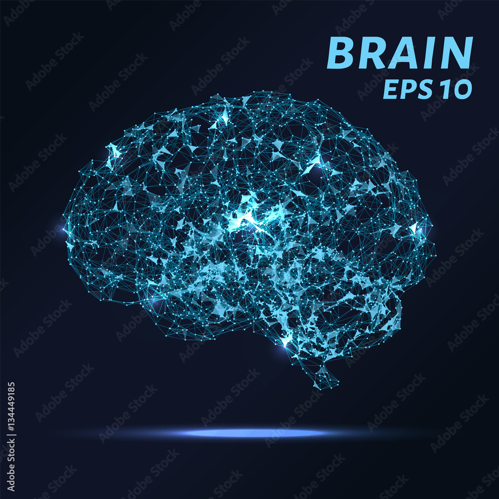 The brain is composed of points, lines and triangles. The polygon shape in the form of artificial intelligence on a dark background. Vector illustration. Graphic concept of the brain The brain is composed of points, lines and triangles. The polygon shape in the form of artificial intelligence on a dark background. Vector illustration. Graphic concept of the brain