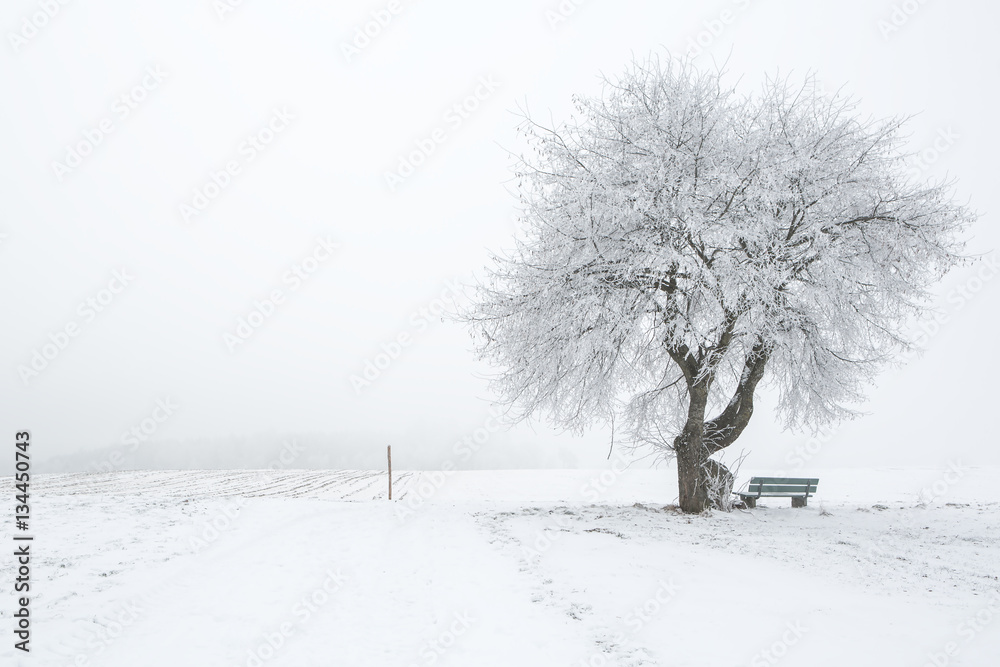 Verschneite Winterlandschaft