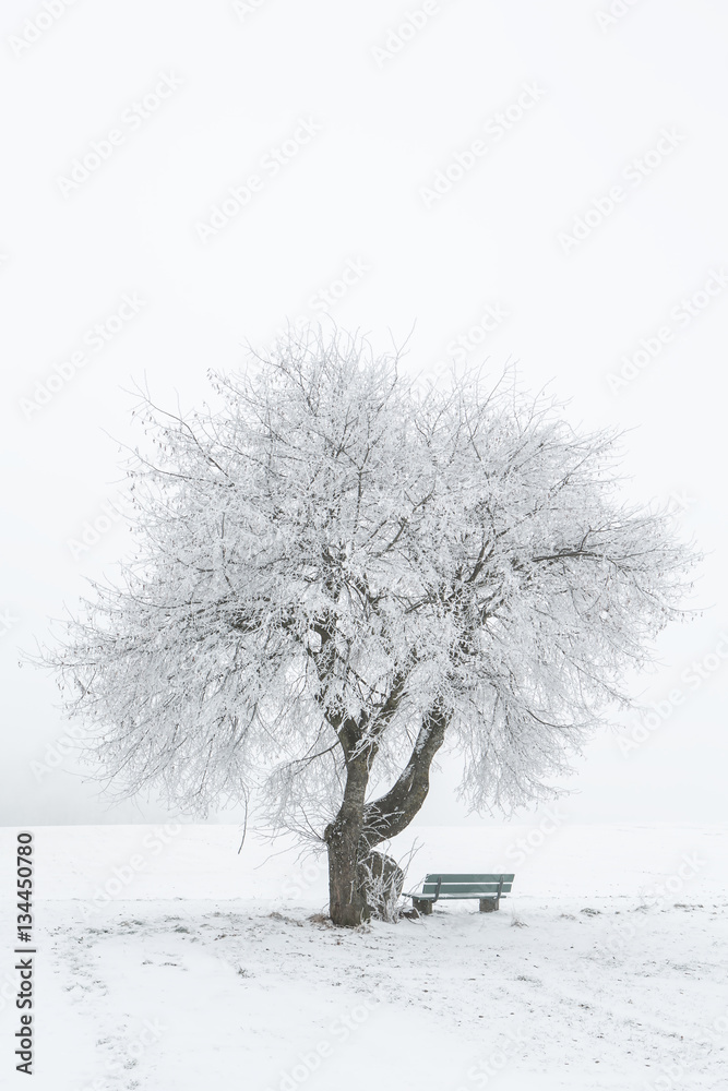 Verschneite Winterlandschaft
