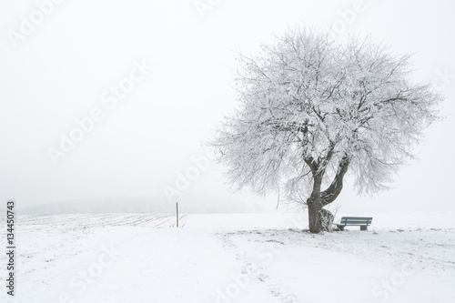 Obraz na płótnie Verschneite Winterlandschaft w salonie