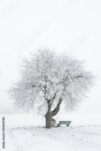 Obraz na płótnie Verschneite Winterlandschaft w salonie