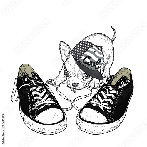 Cute puppy playing with sneakers. Vector illustration for a card or poster. Print on clothes.