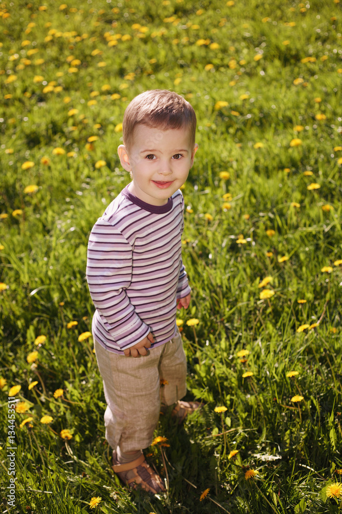 little boy in spring dandelion meadow little boy in spring dandelion meadow