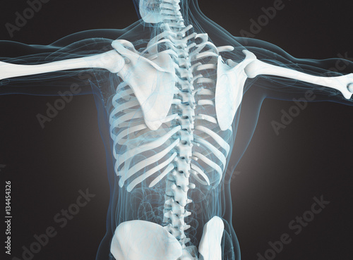 Scheletro di uomo con ossa e spina dorsale in radiografia
