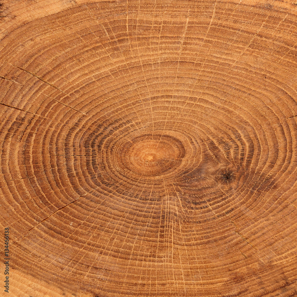 Fototapeta premium Rustic wooden sawing pattern