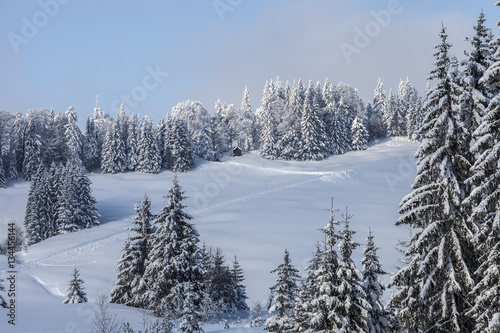 Vorarlberg_Winter_0271 © Dieter Kenz