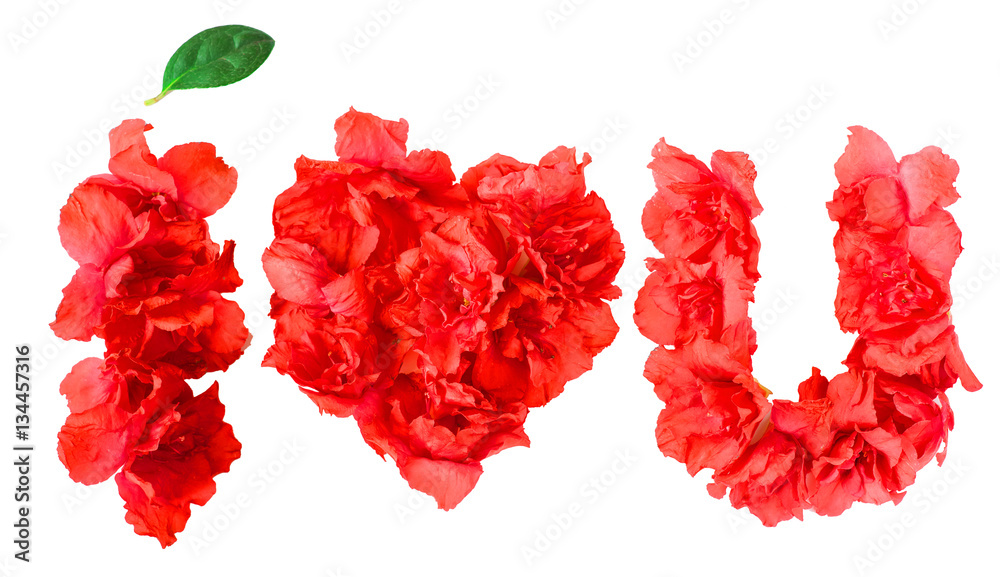 pattern of red azalea flowers and green leaf under it in form of I LOVE YOU on white background isolated pattern of red azalea flowers and green leaf under it in form of I LOVE YOU on white background isolated