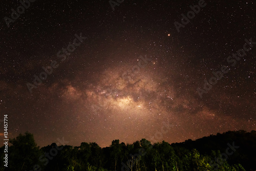 Forest landscape with sky night and milky way