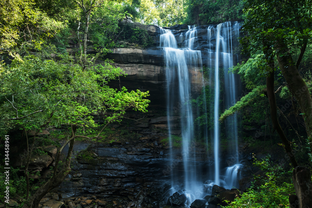 Fototapeta premium Waterfall attack stone in deep jungle