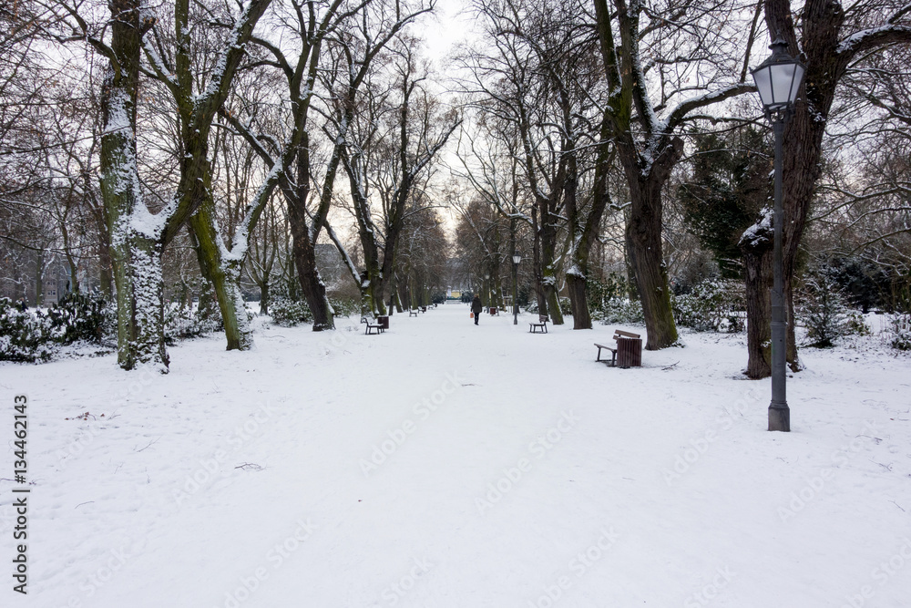 Naklejka premium Park im Winter