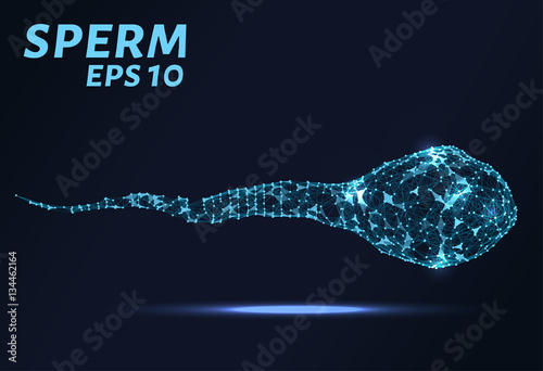 The sperm cell consists of points, lines and triangles. The polygon shape in the form of insemination on a dark background. Vector illustration. Graphic concept of fertilization