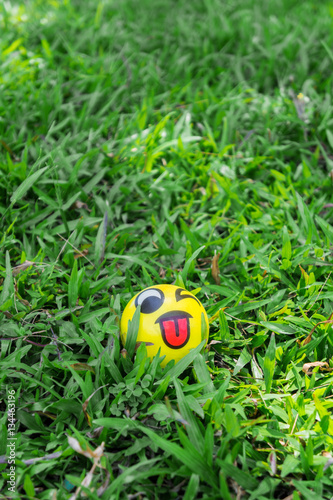 Small ball on green grass