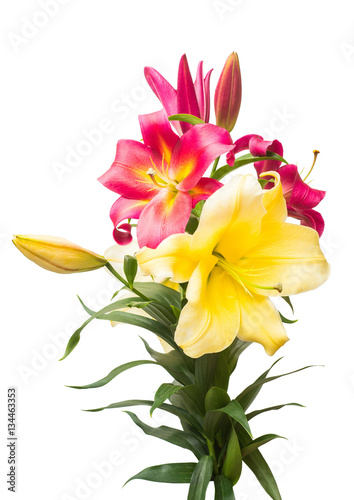 Bouquet of beautiful flowers lily isolated on white background