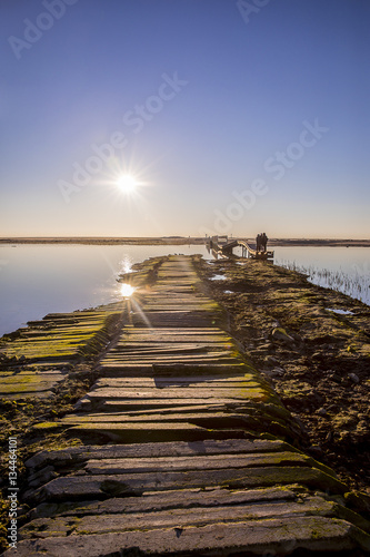 Backlit silhouettes of people walking at sunset by the lagoon in natural reserve Casse de la Belle Henriette, l'Aiguillon sur Mer , Vendee, France