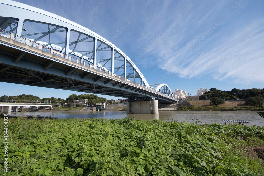 Naklejka premium 丸子橋と多摩川