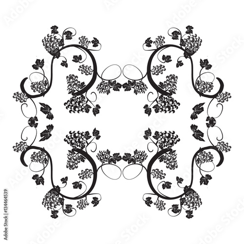 illustration with elegant vines and bunches of grapes frame