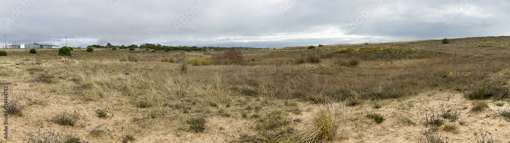 Panoramic view over the sandy dunes of the natural reserve of Casse de la Belle Henriette, l'Aiguillon sur Mer, Vendee, France Panoramic view over the sandy dunes of the natural reserve of Casse de la Belle Henriette, l'Aiguillon sur Mer, Vendee, France