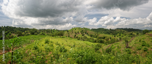 panoramic view countryside in sunny day.