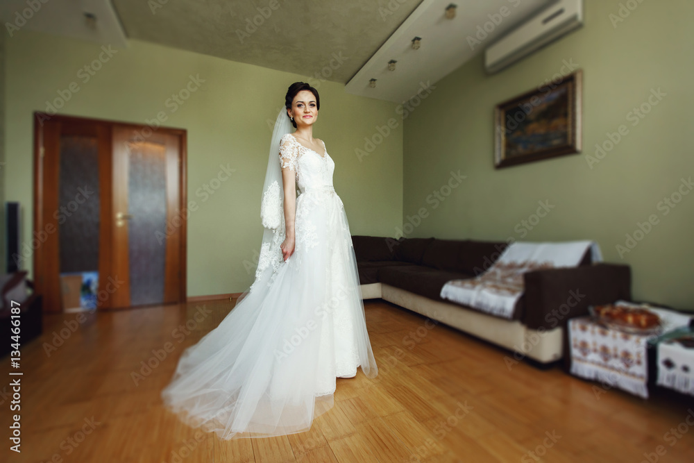 Gorgeous brunette bride posing in white dress indoors Gorgeous brunette bride posing in white dress indoors