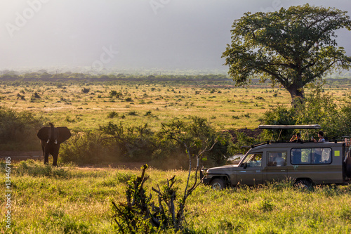 Elephant attacks a jepp in the natural reserve of Tsavo