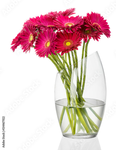 Flowers. Red gerbera flowers in a vase.