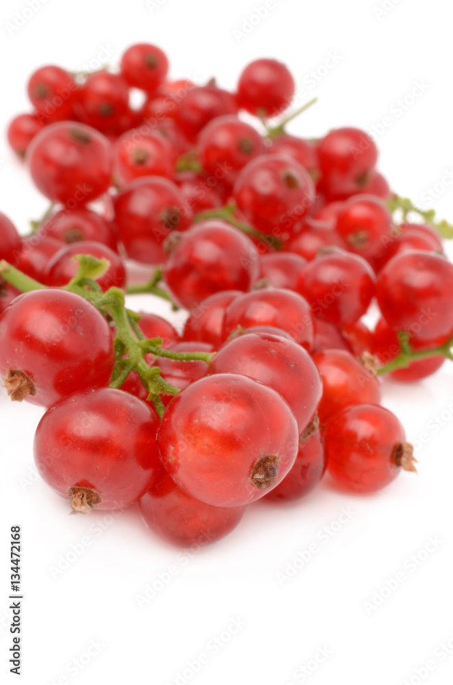 red currant