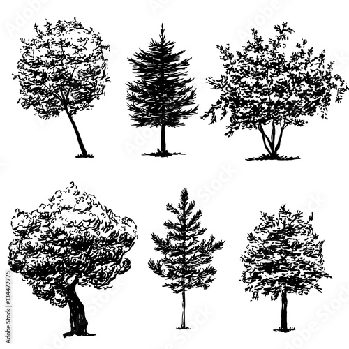 Set of hand drawn tree sketches, black nature flora illustration, isolated on white background. Realistic silhouette vector design.