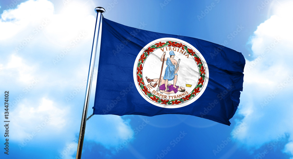 virginia flag, 3D rendering, on a cloud background