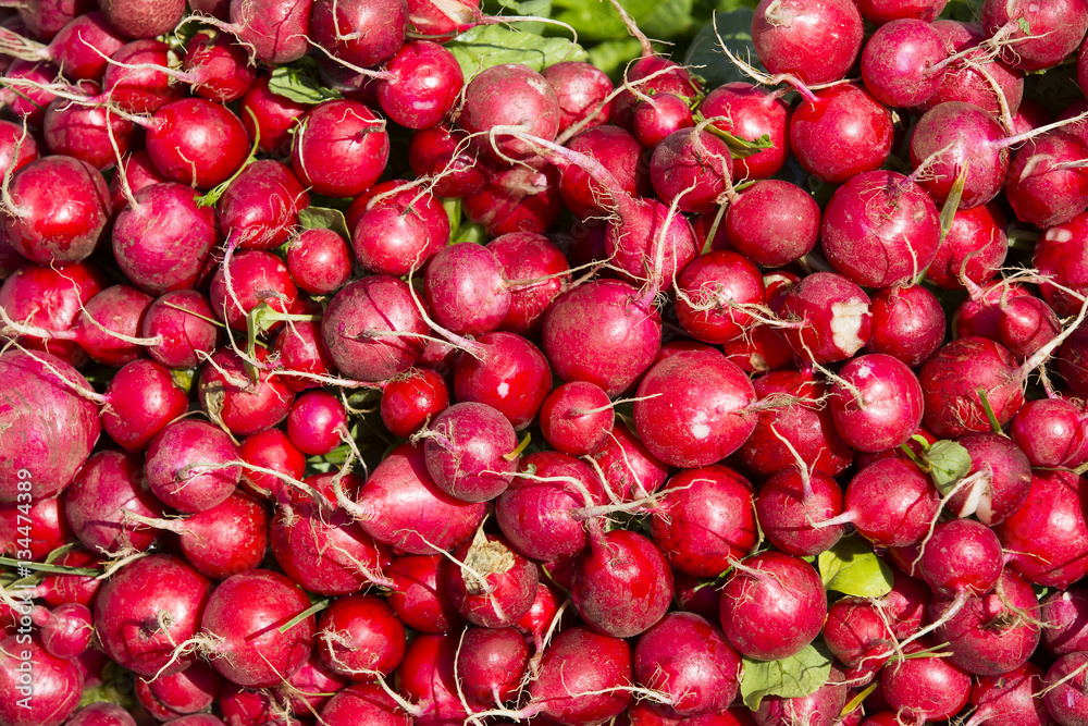 Background of ripe radish on the market Background of ripe radish on the market