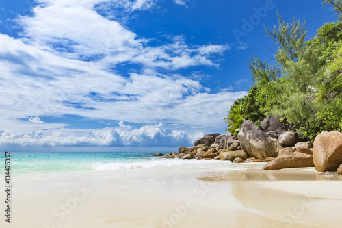Tropical island beach, rocks and palm trees