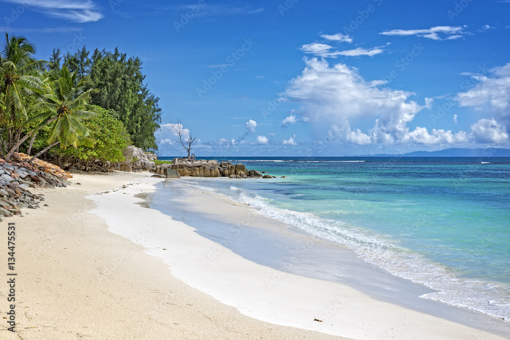 Tropical sandy beach Seychelles