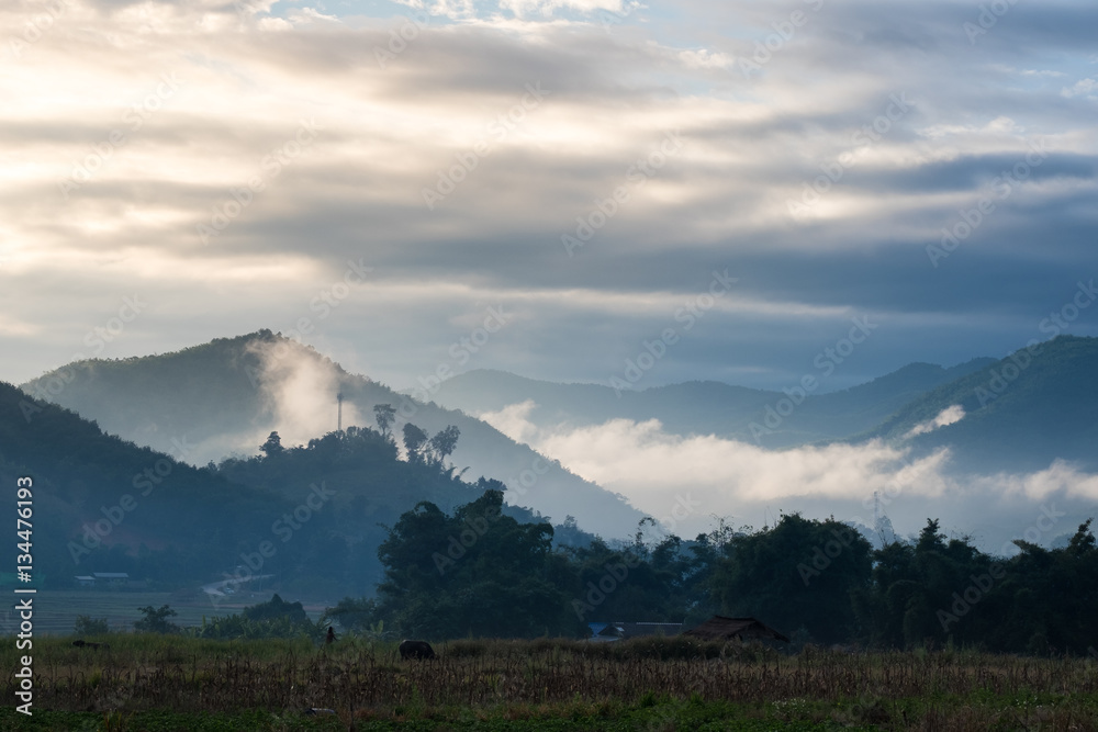 Morning mist with mountain range / Morning mist with mountain range in Chiangmai province, north of Thailand
