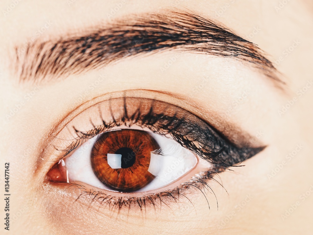Naklejka premium Woman Eye With Makeup And Long Eyelashes