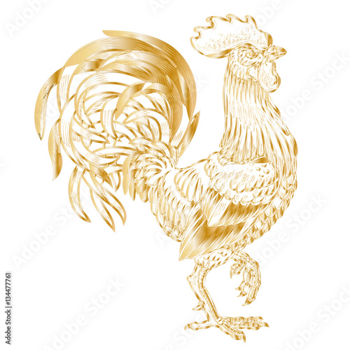 Vector illustration golden rooster on white background