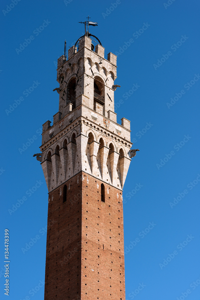 Torre del Mangia (Tower of Mangia) 1348. Siena, Tuscany, Italy