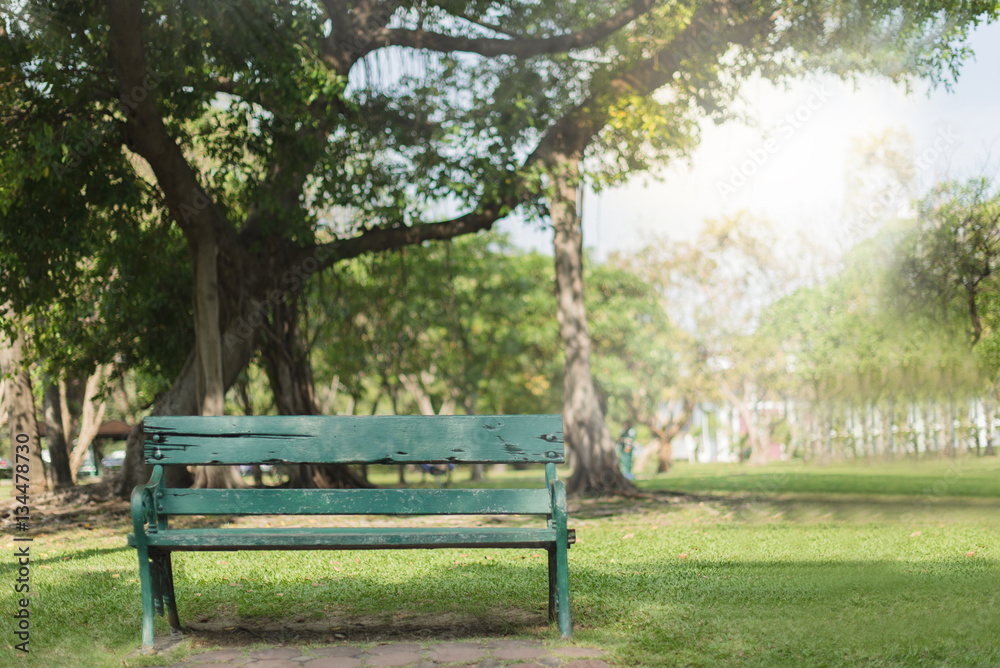 Green wooden chair in the garden in the morning. Green wooden chair in the garden in the morning.