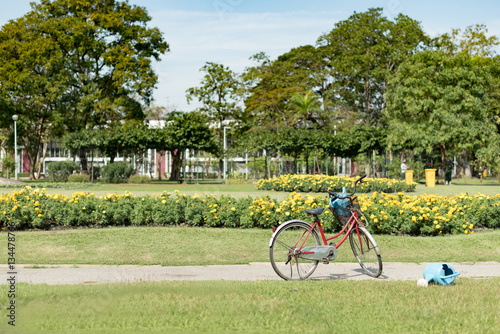 Red bicycle in the garden.