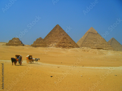 Carriages Near Pyramids Egypt