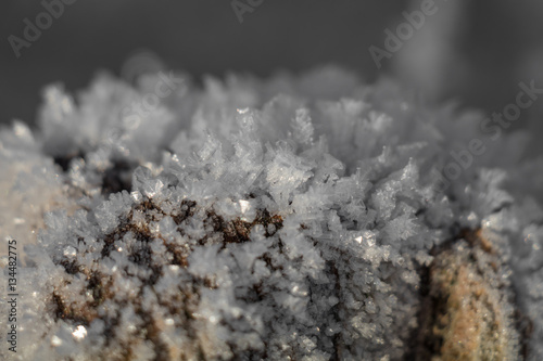 Winter im Sauerland © srffotodesign
