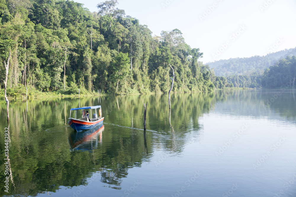 Fototapeta premium View of man-made lake of Royal Belum with nice green scenery and stumped wood.