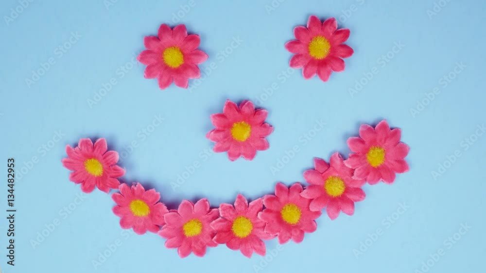 Flowers forming a smiley face. Blue background. Original stop motion animation video. Flowers forming a smiley face. Blue background. Original stop motion animation video.