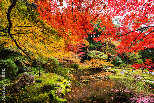 Autumn garden at Nanzen-ji, Kyoto