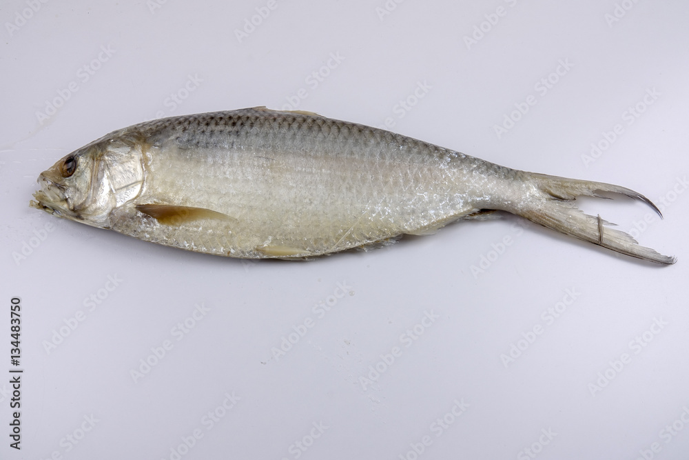 Fototapeta premium Raw salted fish isolated on white