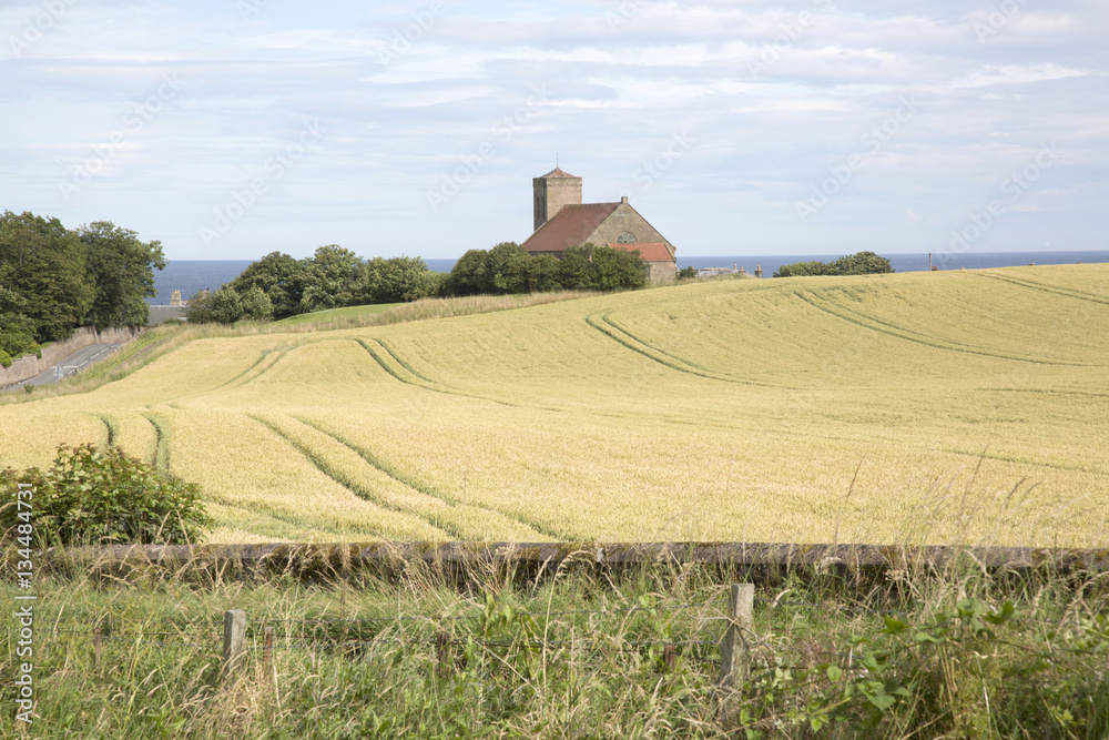St Abbs Church and Wheat Field; Northumberland