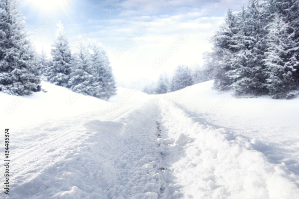 winter road and snow with frost winter road and snow with frost