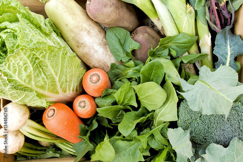 日本の冬野菜セット / Japanese winter vegetables basket
